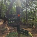 강남-293 | 강남구 일원동 대모산 10월 등산 후기