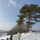 삼포목장 이미지