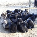 예산농장 이미지