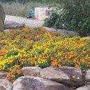 보덕동행정복지센터 이미지