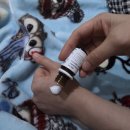 오일스팟 | 62랩 티트리오일100으로 트러블스팟 케어 후기 ✨