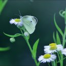 농업테마파크 이미지