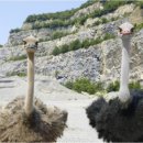 범우농장 이미지