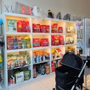 스티브앤스텔라 이미지