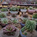 혜란농장 이미지