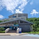 하이원펫클럽 이미지