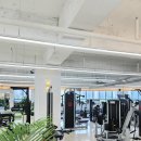 아이리스 짐 | 청라 헬스장 PT 체험후기_아이리스짐