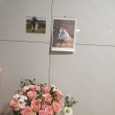 원플라워 이미지