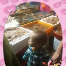 김가네구가네 이미지