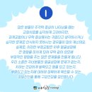 기장뉴욕치과의원 이미지