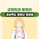 김석현치과의원 | 경상북도 영양군 영양읍 교정치과 총정리