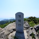 미라리 상록수림 해변 이미지