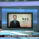 선형상사 이미지