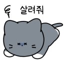 우디헤어 이미지