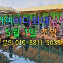 스카이좌대낚시터 이미지
