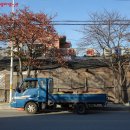 대저국수 이미지