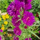 신바람 모텔 이미지