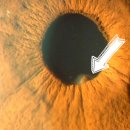 평택성모안과의원 이미지