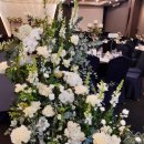 삼정투어 이미지