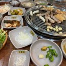 우물집