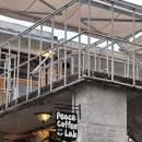 오커피랩 | 광주 | 동명동 카페 피스커피랩 내돈내산 후기