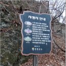 제3구간산행기(20.3.27.토/경기도연천군신서면내산리/절골~절골갈림길~620m봉~성재~성산~범바위~남봉고개~헬기장~은대육교~연천군전곡읍/한탄강/차탄천합수점)-1 이미지