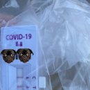 숨튼이비인후과의원 이미지