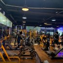 코이스 짐(COYS GYM) | 파주 문산읍 헬스장, 코이스짐 가격주차이벤트