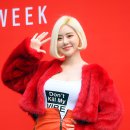 피싱소다 이미지