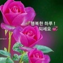 수요일 - 종로구 인사동길 36 | 수요일