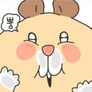 중앙대학교 글로벌대학원 이미지