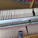 영창고무 | 광명 피아노 조율 수리