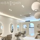 다우리미용실 - 은평구 응암동 | 성남동미용실 다우리붙임머리 가격 위치 영업시간