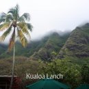 우림목장 | [하와이] 쿠알로아 랜치 E-Bike 투어 | 전기자전거로 누빈 쥬라기 공원 촬영지 🦕