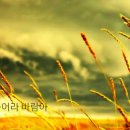 가사/한승기 - 불어라 바람아 이미지