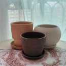 부부제세한의원 이미지