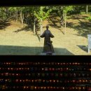 버드내팜 이미지