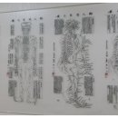 의성한의원 이미지