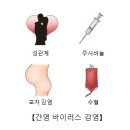 7월 28일(일) 세계 간염의 날 이미지