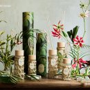 디퓨져 비교 및 추천(조말론, 아쿠아디파르마, 더블유드레스룸,모던하우스)