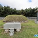 삼육사로22 이미지