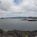 신창가마솥순대국 이미지