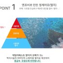 넥스트메디팜 | 오메가3 '데일리 베스트 알티지 오메가3' 후기