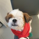 푸른온누리약국 이미지