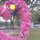 이경미소아청소년과의원 이미지