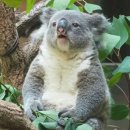 음파음파 수영장 이미지