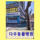 다우동물병원