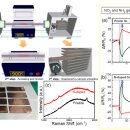 김근수 카카오 검색결과