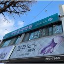 이안음악학원 이미지