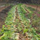 감사한농장 이미지